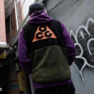 ナイキ(NIKE)のnike acg フリース ベスト (ベスト)