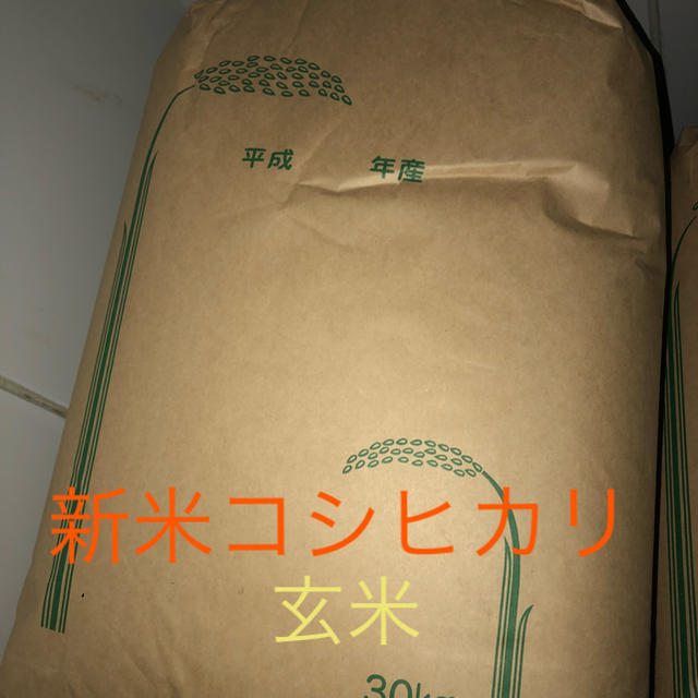 お米コシヒカリ玄米30キロの通販 by ラムカムかめ's shop｜ラクマ