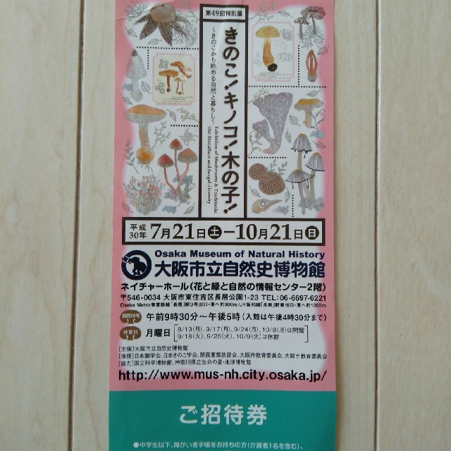 大阪市立自然史博物館　きのこ！キノコ！木の子！　招待券1枚 チケットの施設利用券(美術館/博物館)の商品写真