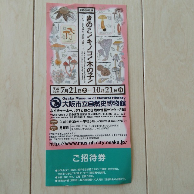 大阪市立自然史博物館　きのこ！キノコ！木の子！　招待券1枚 チケットの施設利用券(美術館/博物館)の商品写真