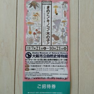 大阪市立自然史博物館　きのこ！キノコ！木の子！　招待券1枚(美術館/博物館)