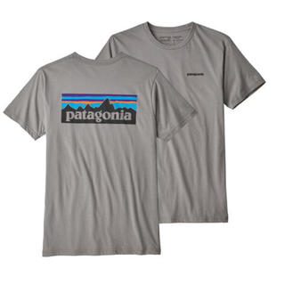 パタゴニア(patagonia)のパタゴニア patagonia Tシャツ グレー(Tシャツ/カットソー(半袖/袖なし))