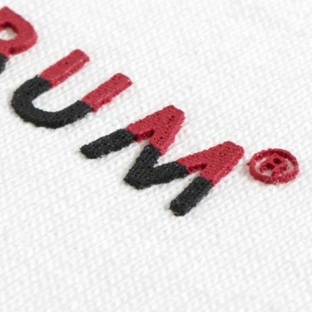 APPLEBUM - Lサイズ 希少 アップルバム Tシャツ スラムダンク