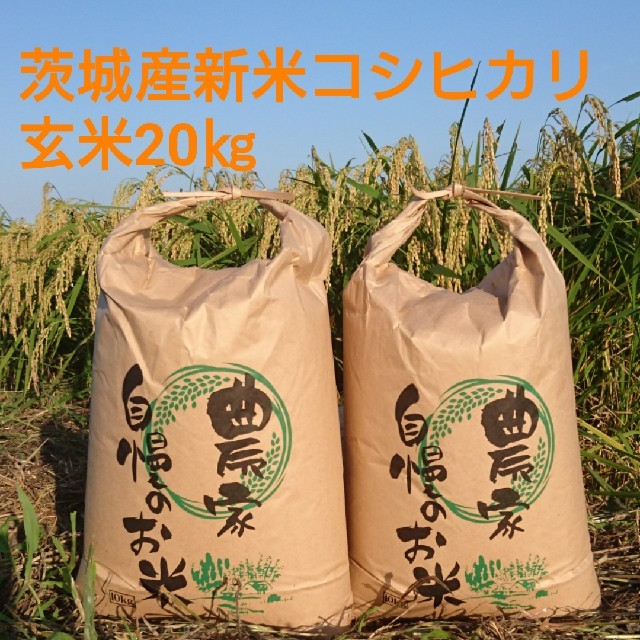 茨城30年産新米コシヒカリ玄米20㎏と10㎏食品