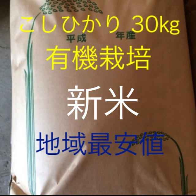 新米 最高級こしひかり30㎏ 玄米 農家直産米/穀物