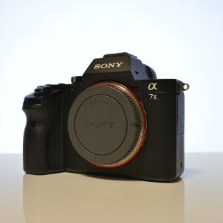 ソニー(SONY)のSONY α7 ILCE-7M2(ミラーレス一眼)