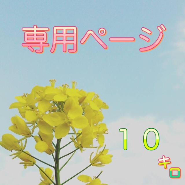 【satorin様専用】愛媛県産あきたこまち100%   新米１０ｋｇ 農家直送 食品/飲料/酒の食品(米/穀物)の商品写真