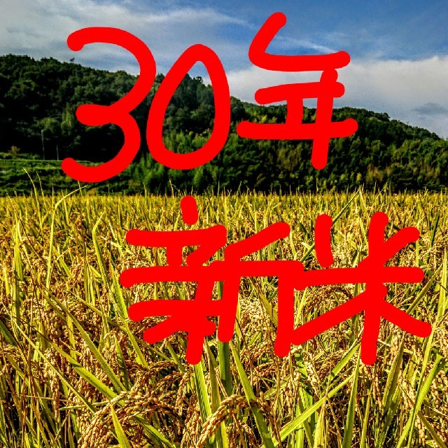 30年新米  低農薬玄米20キロ  山田錦の里より農家直送玄米20kg保存方法
