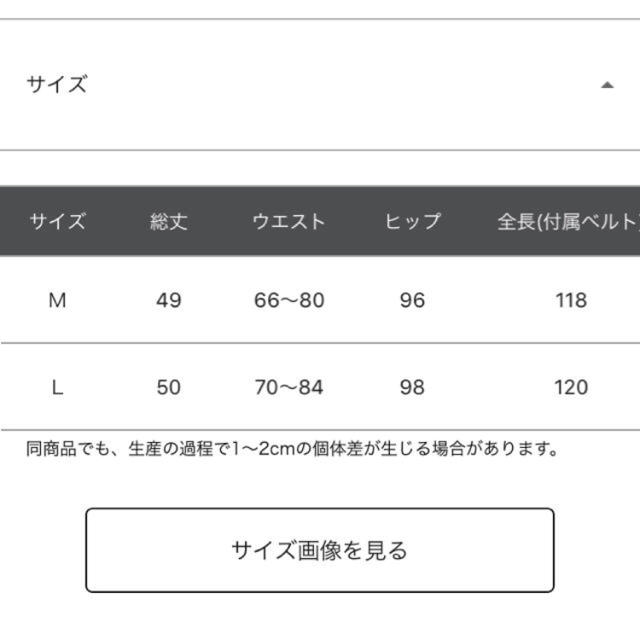 LOWRYS FARM(ローリーズファーム)のLOWRYS FARM スカート レディースのスカート(ミニスカート)の商品写真