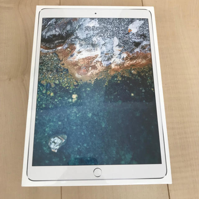 Apple - 【りんご】iPad Pro 10.5 256GB シルバー