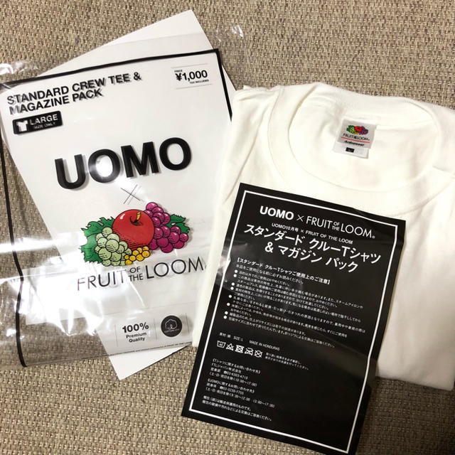 UOMO１０月号付録 フルーツ オブ ザ ルームTシャツ メンズのトップス(Tシャツ/カットソー(半袖/袖なし))の商品写真