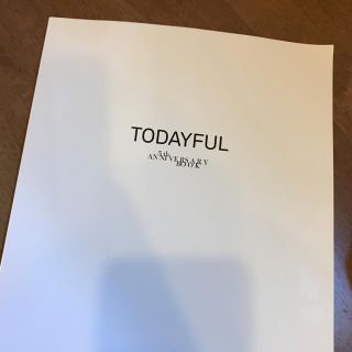 トゥデイフル(TODAYFUL)のTODAYFUL mook 本のみ(ファッション)