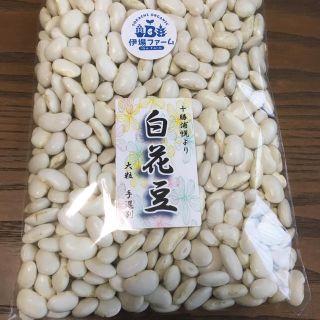 白花豆900g  北海道十勝(野菜)