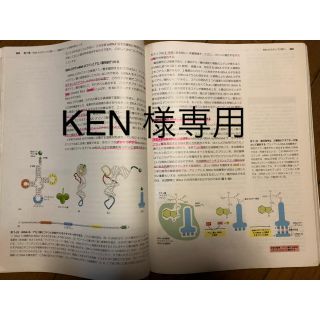 KEN 様専用ページ(語学/参考書)