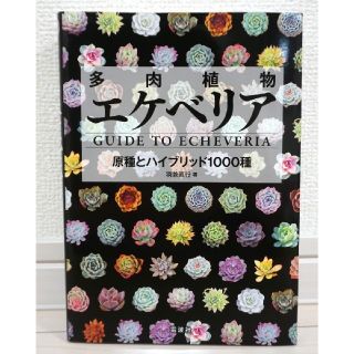 【美品】『多肉植物エケベリア 原種とハイブリッド1000種』(その他)