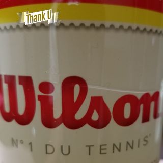 ウィルソン(wilson)のLANDY様　専用(ボール)