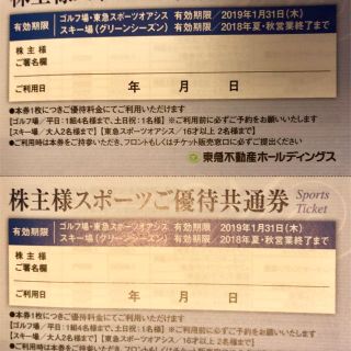 東急不動産ホールディングススポーツ優待共通券 2枚(その他)