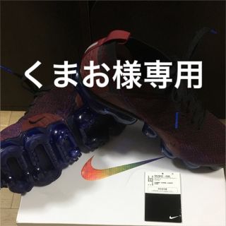 ナイキ(NIKE)のくまお様専用(スニーカー)