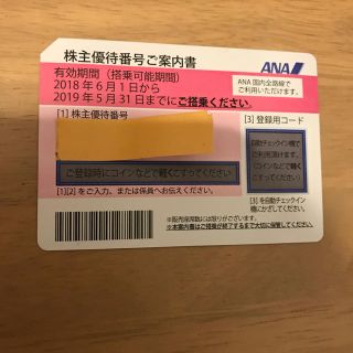 エーエヌエー(ゼンニッポンクウユ)(ANA(全日本空輸))のANA 株主優待 (航空券)