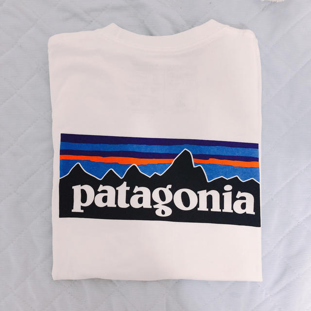 patagonia(パタゴニア)のPatagonia Tシャツ レディースのトップス(Tシャツ(半袖/袖なし))の商品写真