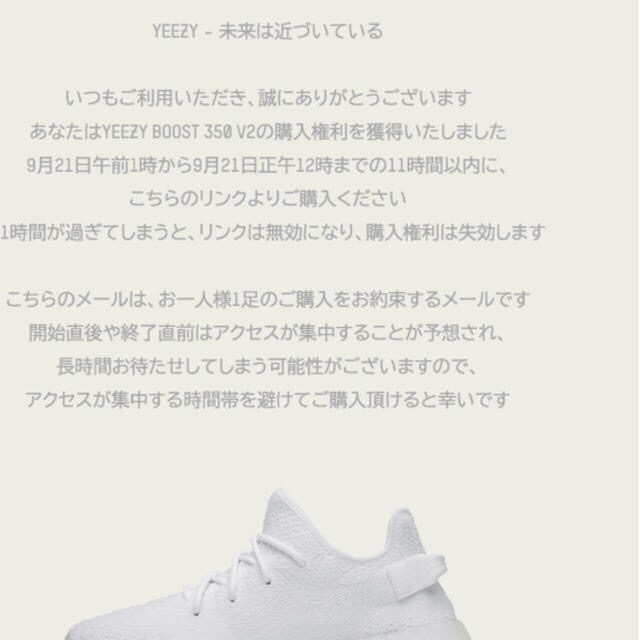 adidas(アディダス)のyeezy boost 350   メンズの靴/シューズ(スニーカー)の商品写真
