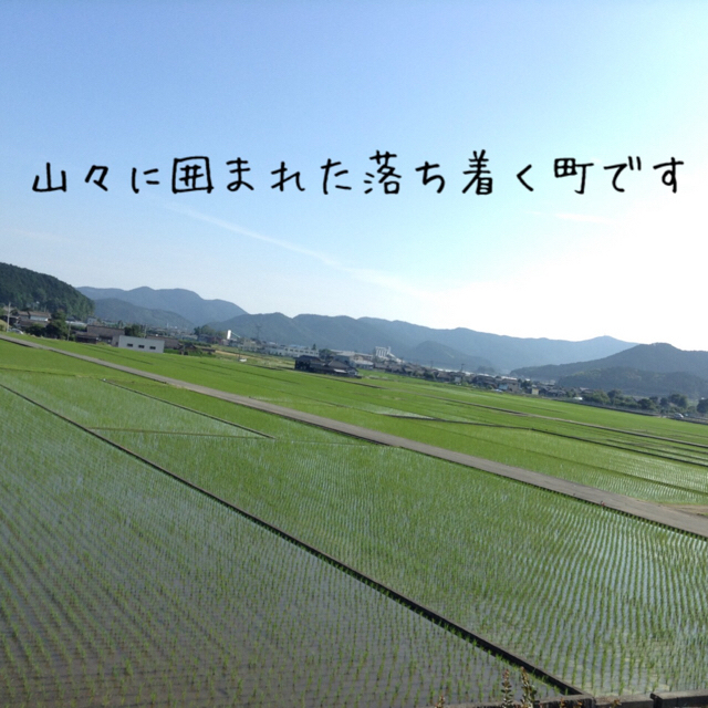 【かっちゃん&そうちゃん様専用】愛媛県産あきたこまち100％  新米５ｋｇ  食品/飲料/酒の食品(米/穀物)の商品写真