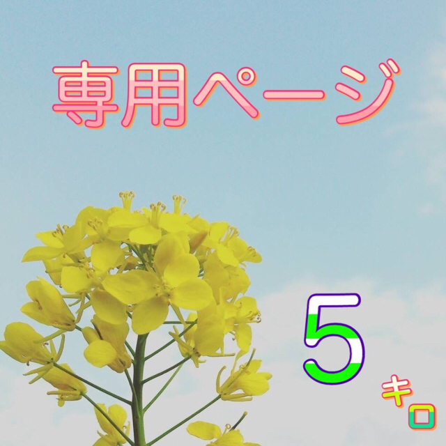 【かっちゃん&そうちゃん様専用】愛媛県産あきたこまち100％  新米５ｋｇ  食品/飲料/酒の食品(米/穀物)の商品写真