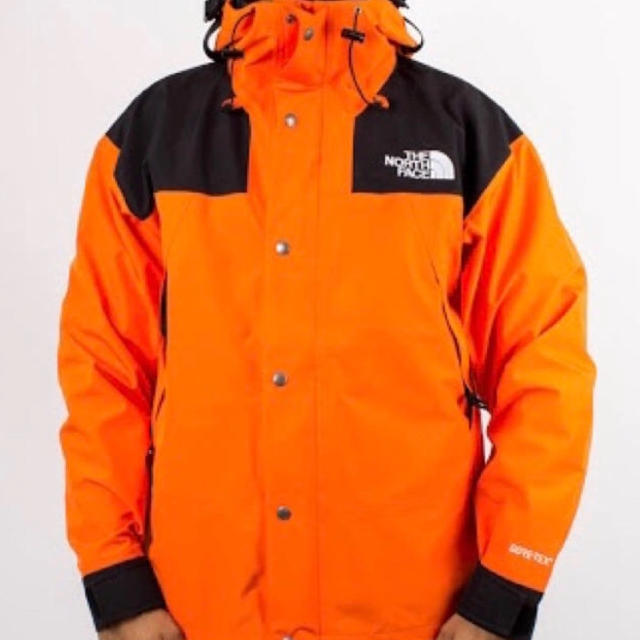 THE NORTH FACE - THE north Face ノースフェイス 1990 マウンテン