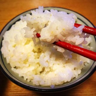新米 特別栽培米あきたこまち 玄米5kg(米/穀物)