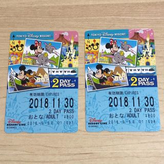 ディズニー(Disney)のディズニーリゾートライン☆2 Day Pass(遊園地/テーマパーク)