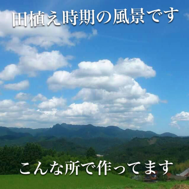 レモングラス様専用 30キロ分精米、小分けなし 味噌 食品/飲料/酒の食品(米/穀物)の商品写真