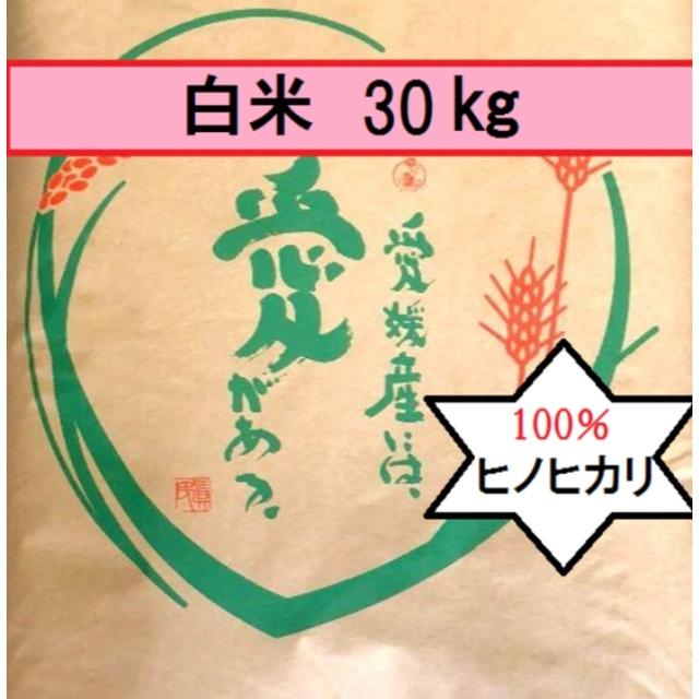 美食健様専用 お米　H29　愛媛県産ヒノヒカリ　白米　30㎏ 食品/飲料/酒の食品(米/穀物)の商品写真