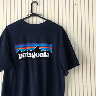 パタゴニア(patagonia)のPatagonia tee(Tシャツ/カットソー(半袖/袖なし))