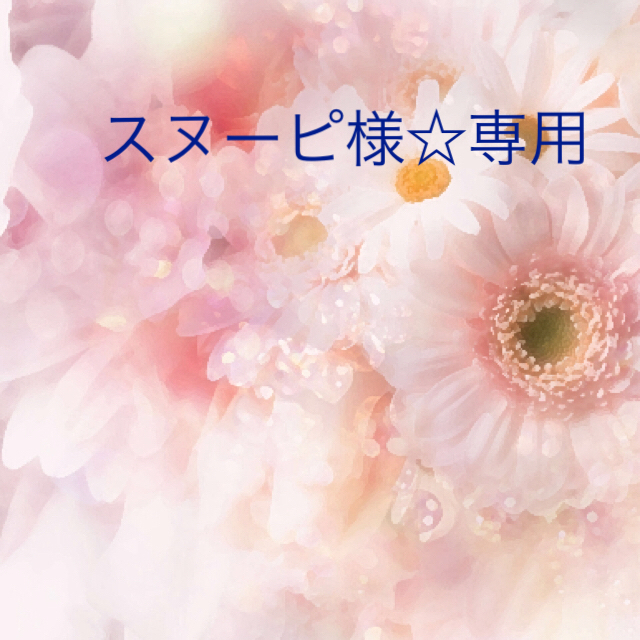 スヌーピさま☆専用です✨ ハンドメイドのフラワー/ガーデン(ドライフラワー)の商品写真