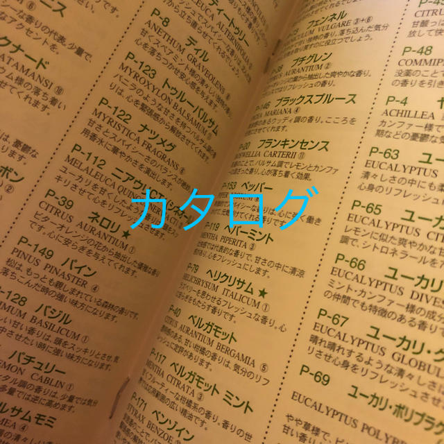 PRANAROM(プラナロム)のプラナロム 精油 アロマ エッセンシャルオイル マニュアル&カタログ 冊子 本 コスメ/美容のリラクゼーション(その他)の商品写真