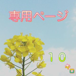 【おかぴ様専用】愛媛県産あきたこまち100％  新米１０ｋｇ  農家直送(米/穀物)