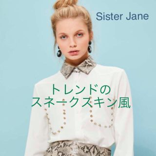 ローズバッド(ROSE BUD)のSister Jane 新品未使用 ヘビ柄襟付き キラキラ ブラウス(シャツ/ブラウス(長袖/七分))