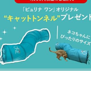 ネスレ(Nestle)のピュリナワン🐱キャットトンネル(猫)