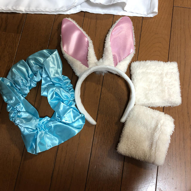 Disney(ディズニー)のアリスのウサギコス エンタメ/ホビーのコスプレ(衣装)の商品写真