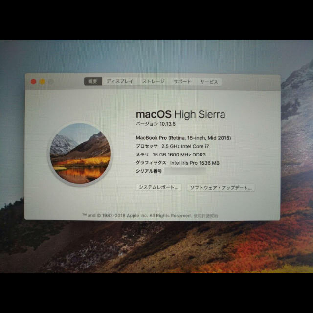 【美品】MacBook Pro Retina 15インチ Mid2015 オマケ