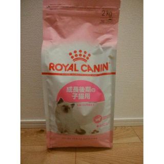 ロイヤルカナン(ROYAL CANIN)のロイヤルカナン キトン 2kg　2セット(猫)