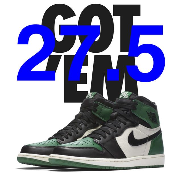 NIKE(ナイキ)のNIKE AIR JORDAN 1 PINE GREEN 27.5cm メンズの靴/シューズ(スニーカー)の商品写真