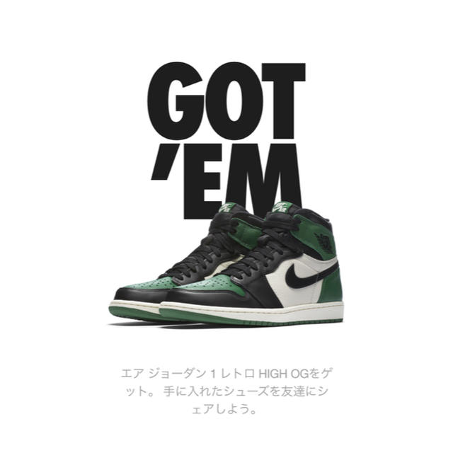 福田氏専用 Nike AIRJORDAN PINE GREEN 27.0cm