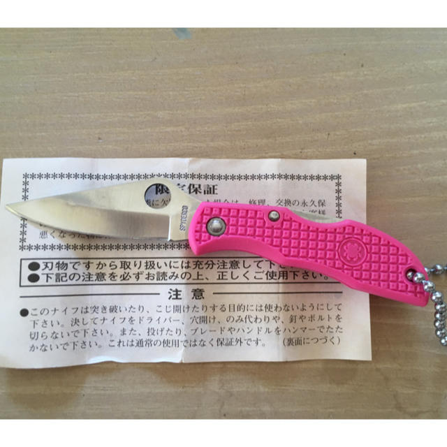 Spyderco(スパイダルコ)のスパイダルコ てんとう虫 スポーツ/アウトドアのスポーツ/アウトドア その他(その他)の商品写真