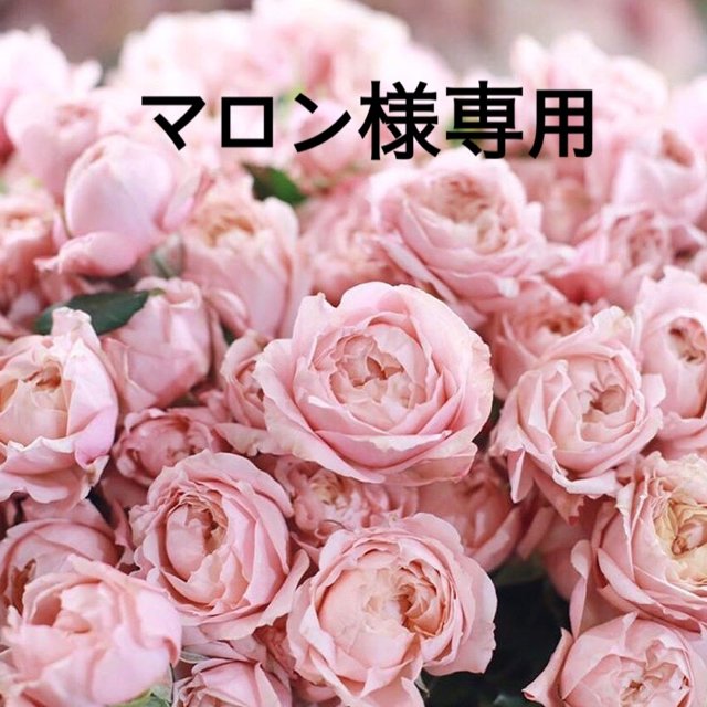たぶん 出会わなければよかった嘘つきな君に 佐藤青南の通販 By ラクマ たぶん 出会わなければよかった嘘つきな君に 佐藤青南の通販 By ラクマ