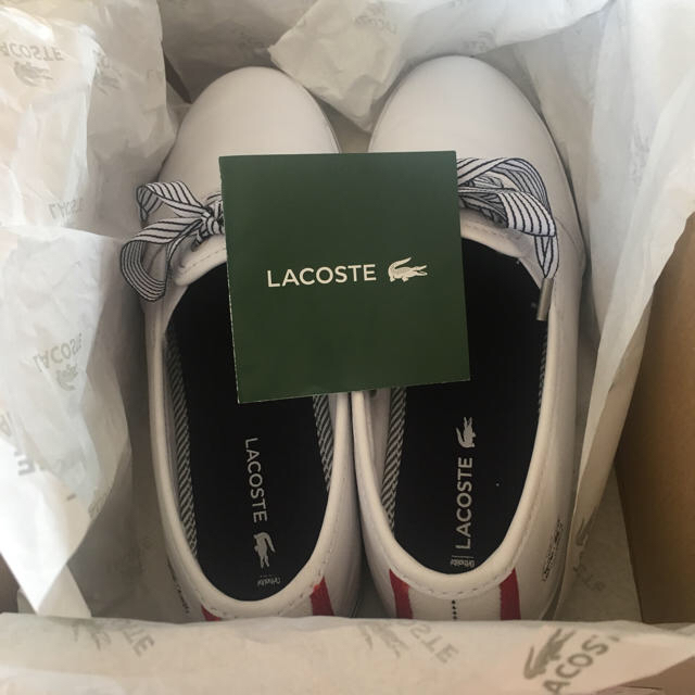 LACOSTE(ラコステ)の箱付き LACOSTE シューズ 23㎝ 白 レディースの靴/シューズ(スニーカー)の商品写真