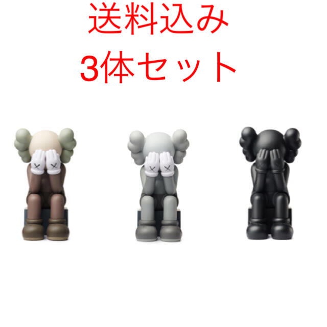 代引き不可】 MEDICOM TOY - MEDICOM TOY KAWS PASSING THROUGHの通販