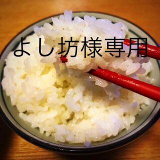 新米 特別栽培米あきたこまち 白米4.5kg(米/穀物)