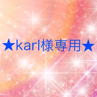 ワコール(Wacoal)のkarl様専用(マフラー/ショール)