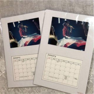 安室奈美恵 卓上 カレンダー 2019 Finally 限定特典 未開封２部(ミュージシャン)